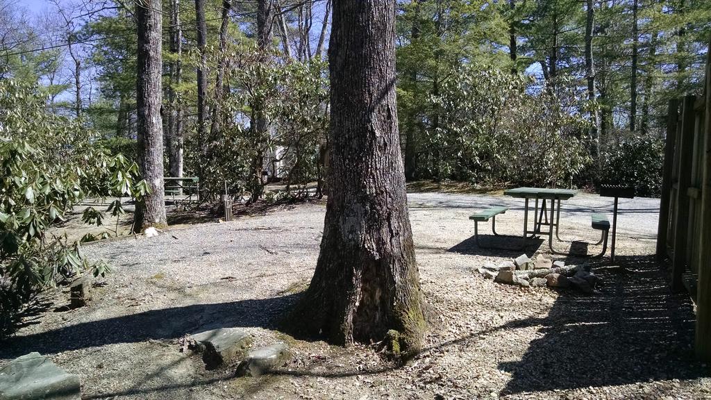 Linville Falls Campground, Rv Park, And Cabins Zewnętrze zdjęcie