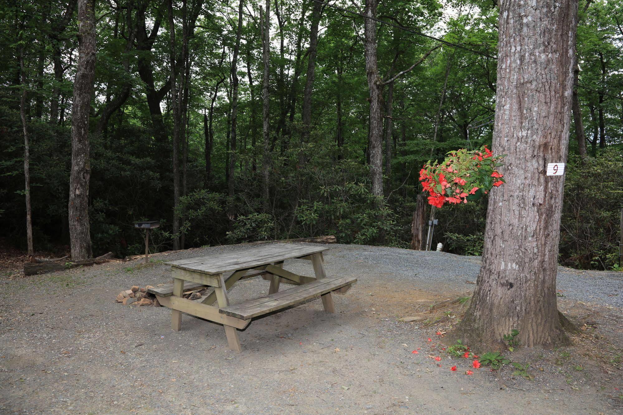 Linville Falls Campground, Rv Park, And Cabins Zewnętrze zdjęcie